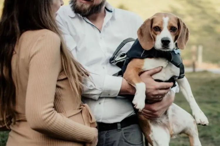 cachorro no colo de homem em foto com mulher grávida